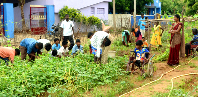 School Garden for Special Children